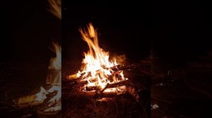Жизнь как Творчество