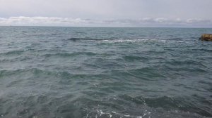 Море/Шум моря/Сочи /Адлер/Релакс/Осень/Black sea. Sochi