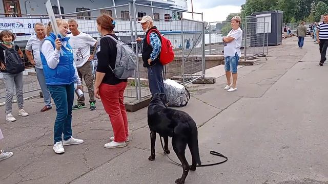 Дмитрий Фурманов Северная Сказка Созвездие Музей Пса смотреть онлайн