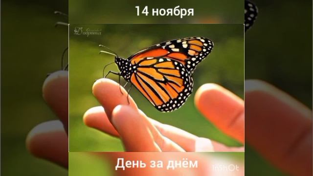 14 ноября. День за днëм смотреть онлайн