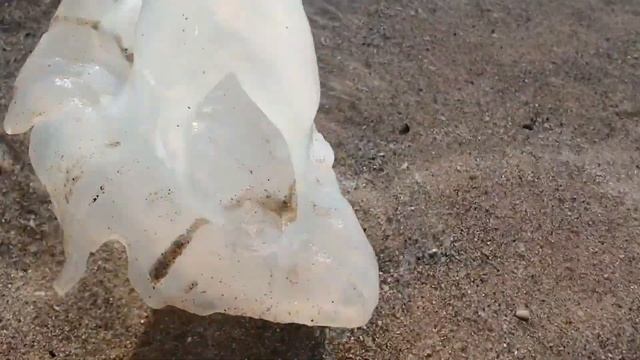 Сезон Медуз.Во всей красе смотреть онлайн