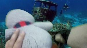 Три пингвина?Пора лететь на море! (1 сезон 4 серия)