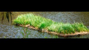 ПЛАВАЮЩИЕ БИОФИЛЬТРЫ TM "OLEX" для очистки воды в Водоёмах, Бассейнах, в Рыбоводных Хозяйствах...