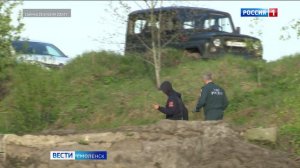 В Смоленске спасатели вытащили лося из трясины