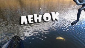 Осенний ленок на поплавочную удочку на горной реке. Рыбалка на реке Бикин.