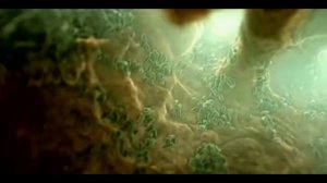 Проникли микробы Страшные Микробы повсюду Мойте руки перед едой!!! - Scary Microbes | PrinCess Ka