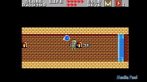 Wonder Boy in Monster Land [Sega Master System] |