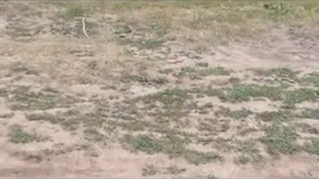 Foto 028 xvid смотреть онлайн