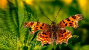 Свекровь прогнала невестку из дома. Но так, как наглую свекровь вскоре проучат, она и представить..