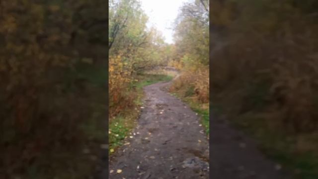 Работаю курьером в Яндекс доставке смотреть онлайн