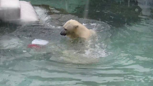 Кай и Герда играют в прятки 21.03.18 смотреть онлайн