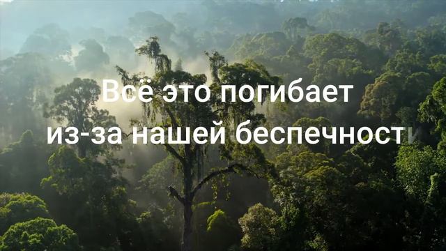 Погибающая Земля. Истощение природных ресурсов