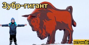 Поход к огромной фигуре зубра возле трассы М1 в Брестской области