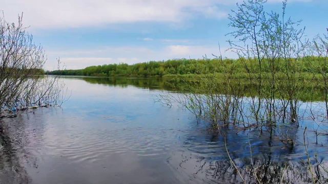 Чернігівщина Весна 2022