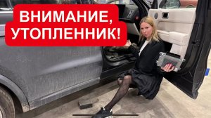 Лиса рулит - подборы, топ авто и советы
