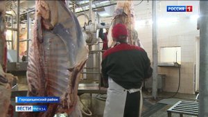 В Средней Елюзани сельхозкооператив благодаря господдержке нарастил мощности в 8 раз