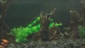 блесна WILLIAMS ICE JIG 50