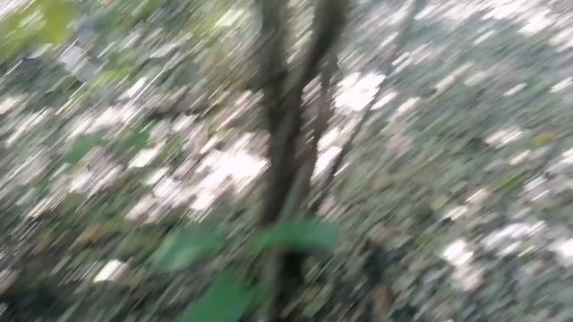 ВЫКИНУЛ ВСЕ РАЗБИТЫЕ АВТО!? life видео смотреть онлайн