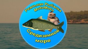 "Средиземное море" | Реальная Рыбалка
