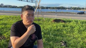 Поместили 3 важные функции при выгуле собак в один аксессуар! Намордник-контроллер-ошейник