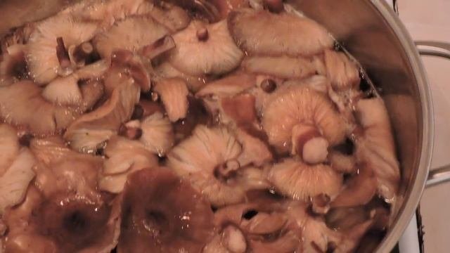 Осенние ГРИБЫ ОПЯТА с картофелем.