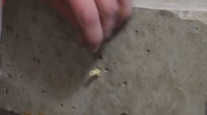 Как повесить крючок при помощи нейлоновых дюбелей PND