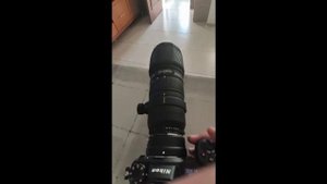 Nikon Z6 + sigma 100-300 F/4 HSM APO DG II