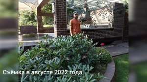 Пейзажный сад с хвойными и гортензиями. Ландшафтный дизайн, уход за участком в Образцово.