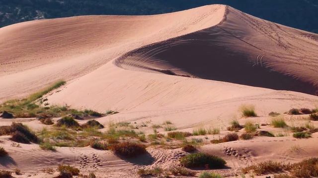 Этническая Арабская музыка | Ethnic Arabic music