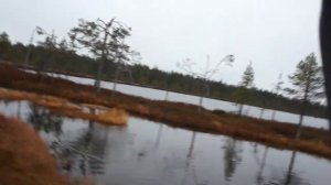 Охота на гуся и утку. Трофеи взяты. Вывезли вещи оставленные с весенней охоты.