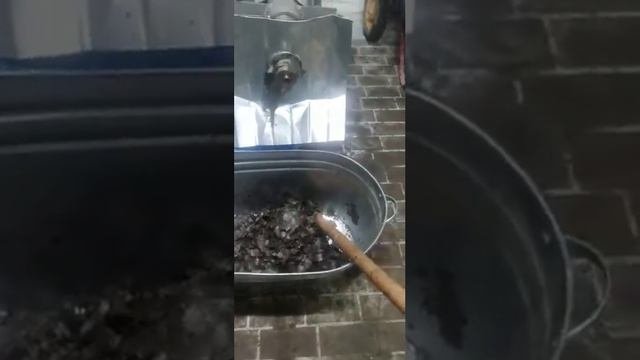Линия холодного отжима