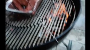 BBQ grill da tovuq go'shti. Курица на гриле барбекю.