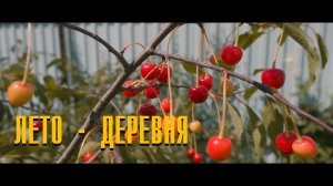 Лето - деревня