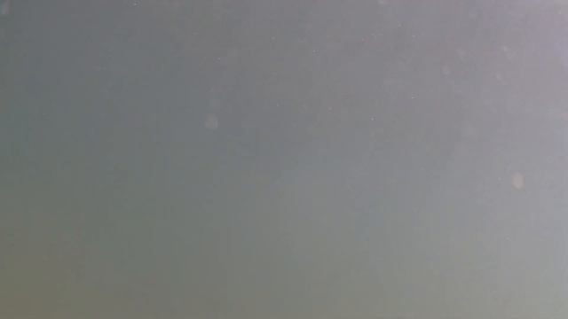 Поселок Волна. Черное море, прозрачно!? Снимаю под водой.