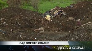 САД ВМЕСТО СВАЛКИ