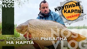 Ловля крупного карпа - трейлер
