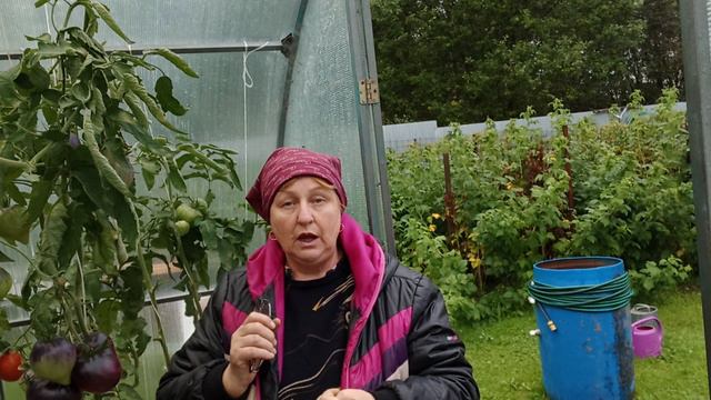 Обращение к подписчикам и ответы на вопросы