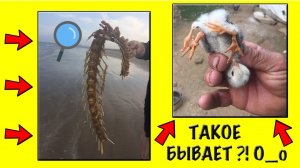 крутые находки, которые были сделаны совершенно случайно | Your Day