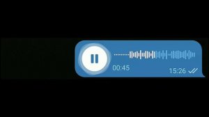 Я ЛЮБЛЮ КАКАТЬ