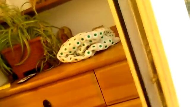 Регулировка пластикового окна фирмы "ТОП окна"