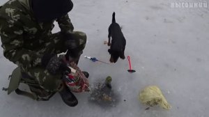 ОНАНИЗМ НА ПРИРОДЕ RYTP #7 (Виталий Игнатюк)