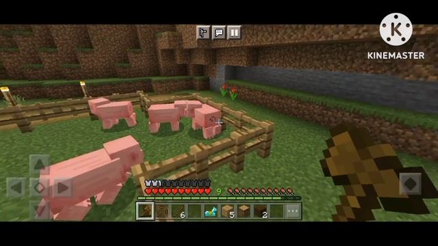 TODAY I Am GOING POCKET TO JAVA in Minecraft 1.20.0.02 Not install mod #javaedition