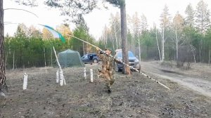 Монопородные состязания Эстонских гончих и биглей. Сибирь