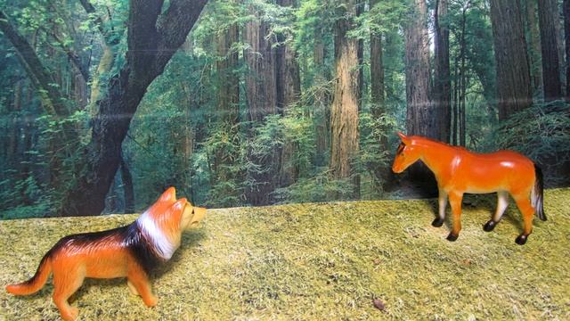 Как Волк решил покаяться Аварская сказка смотреть онлайн