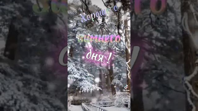 Доброго зимнего утра ! Хорошего зимнего дня! Зима !🌲❄❄🏂☃️👍