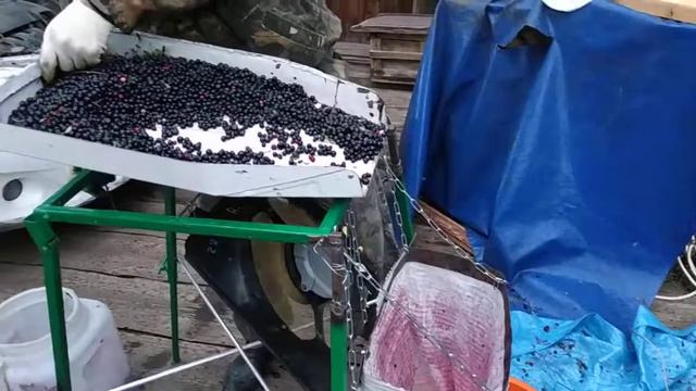 Веялка для ягоды смотреть онлайн