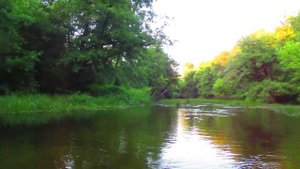 Река Медведица ниже села Лисичкино. Аткарский район.