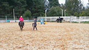 VLOG: моё первое занятие на лошади ❤️первый раз ❤️