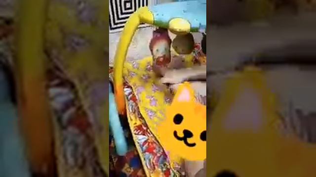 Откуда берётся сыпь, и что с ней делать? смотреть онлайн