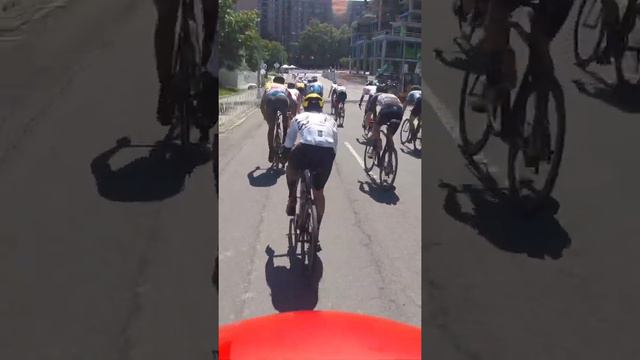 Nastiest crash I’ve ever witnessed! #crash #roadbikes #bikeracing #bikes #cycling #thunderbearrides